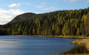 Icktjärnsbergets naturreservat