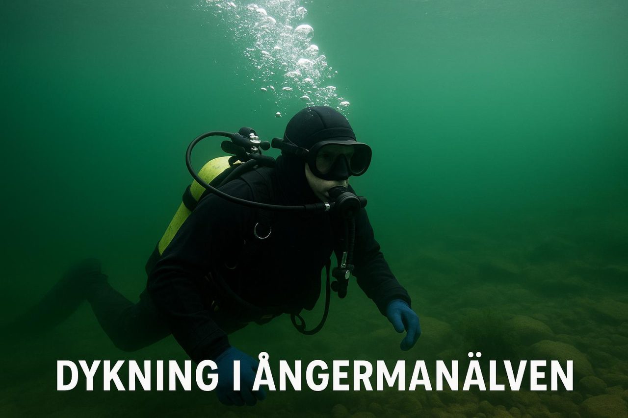 Dykning i Ångermanälven